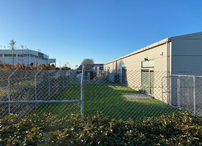 Airport Security Dog Run