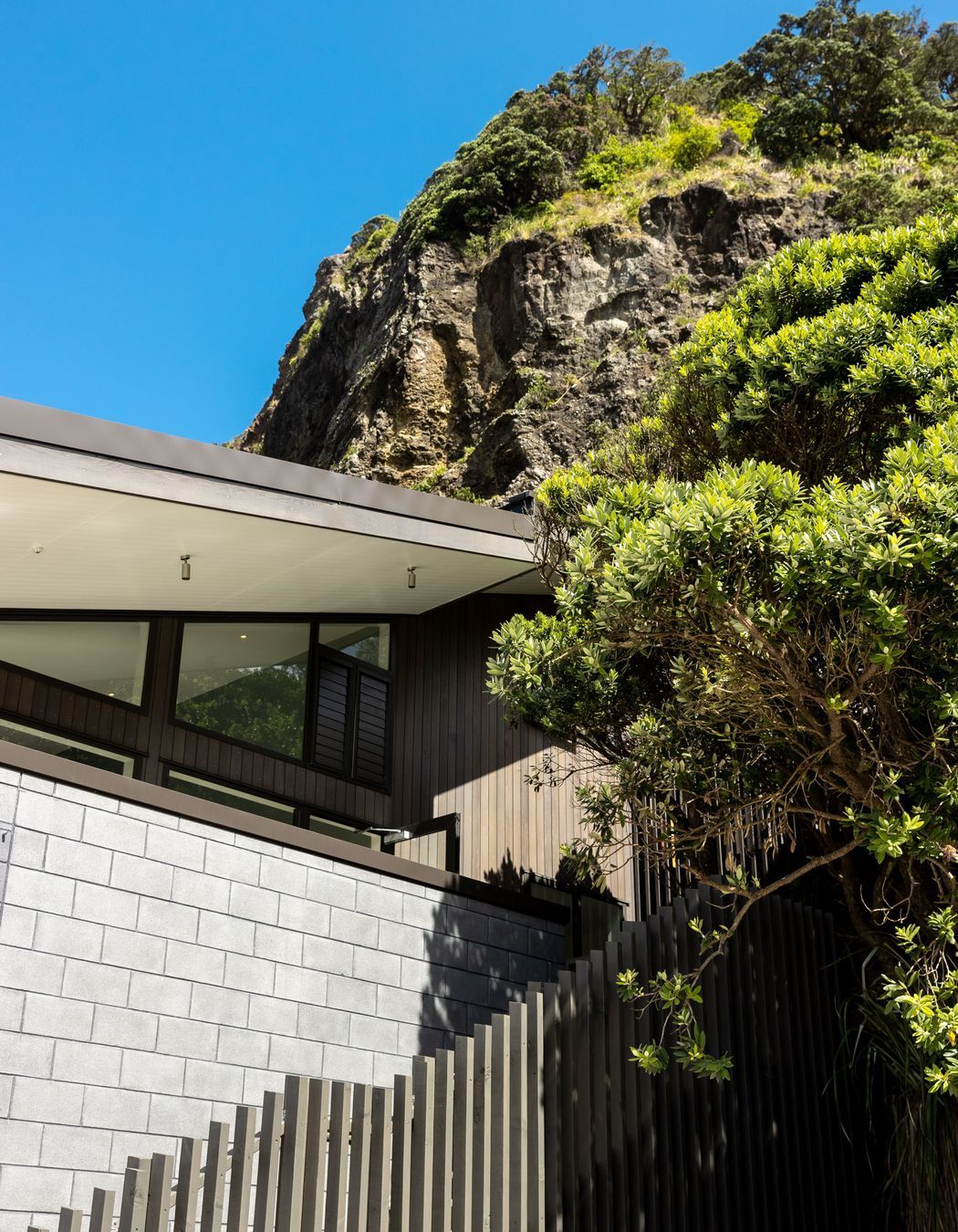 ©️ Jono Parker     The angles of the roof lines bed the building into its site.