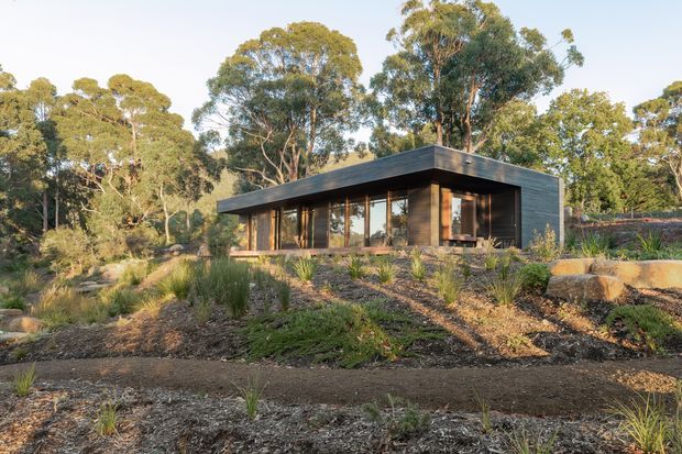 A low, single-storey modern pavilion set within a natural Australian bush landscape. The building has a flat roof, dark horizontal cladding, extensive floor-to-ceiling glazing, and warm timber-framed openings. Native grasses, scattered rocks, and mature eucalyptus trees surround the structure on a gently sloping site.