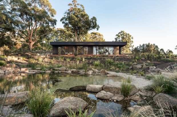 A low, single-storey modern pavilion set into a landscaped natural setting, with a strong horizontal dark roof, extensive floor-to-ceiling glazing, and timber-toned lower walls. The building sits behind a rocky ornamental pond with stepping stones, grasses, boulders, and mature eucalyptus trees.