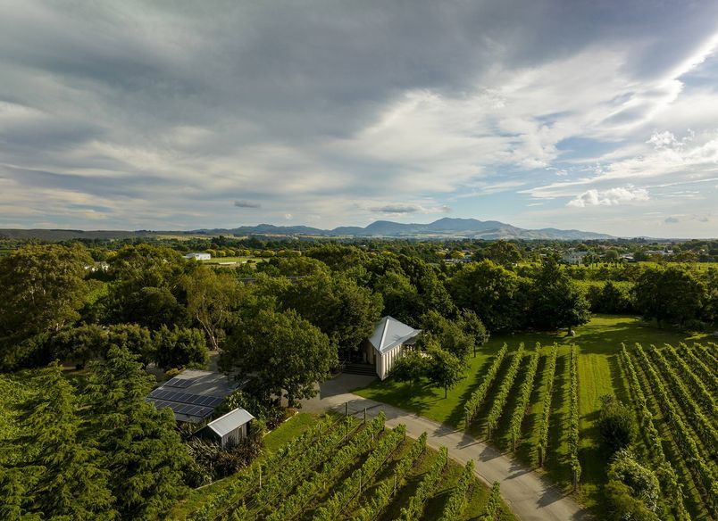 Ata Rangi Tasting Room