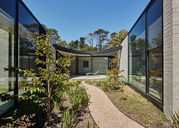 A contemporary courtyard viewed from an outdoor garden path, enclosed by two wings of a low-rise building with extensive dark-framed glazing and pale brick walls. The curved roofline and recessed central entry create a sheltered courtyard, with native-style planting and a light gravel or aggregate path leading through the landscaped space. Clear blue sky and mature trees are visible beyond the building.