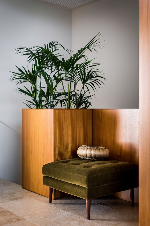 A warmly lit interior vignette featuring a deep olive-green upholstered tufted bench or ottoman positioned in front of a rich timber slatted divider or built-in panel. Tall indoor palms rise behind the divider, while a small sculptural cushion or decorative object sits on the seat. The space has pale stone or porcelain tiled flooring, light neutral walls, timber framing at the sides, and a linear ventilation grille in the ceiling. The composition feels refined, organic, and mid-century influenced.