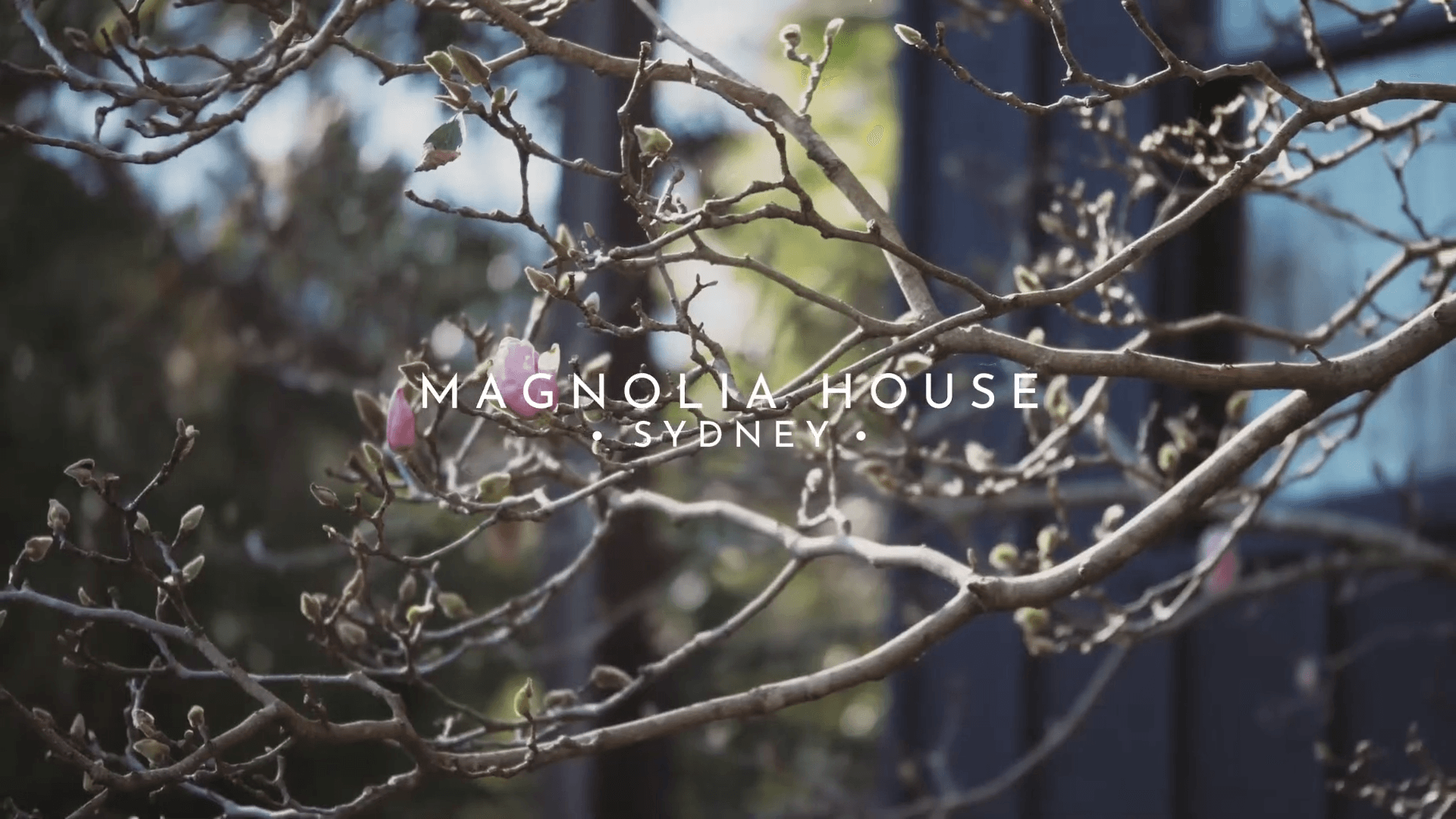 Magnolia House By Cadence & Co - Home Tour video