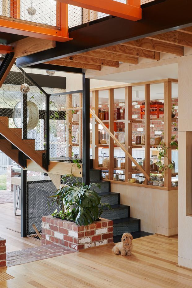 Interior view of a multi-level residential space centred on a sculptural black steel staircase with mesh balustrades, timber treads, and bright orange structural elements. Exposed plywood and timber framing, warm timber flooring, brick planter walls, glazed timber shelving, and exposed brickwork create an industrial yet warm character. Indoor plants and a small dog add lived-in detail.
