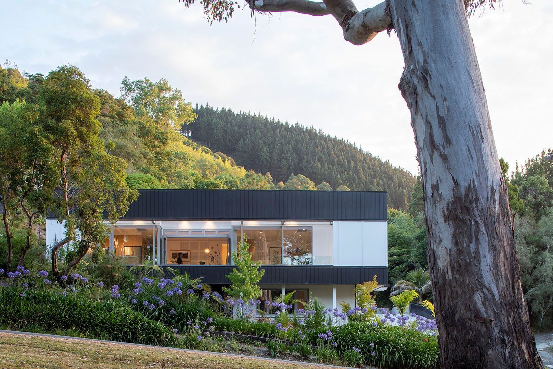 Van Diemen Street House designed by Irving Smith Architects, Nelson