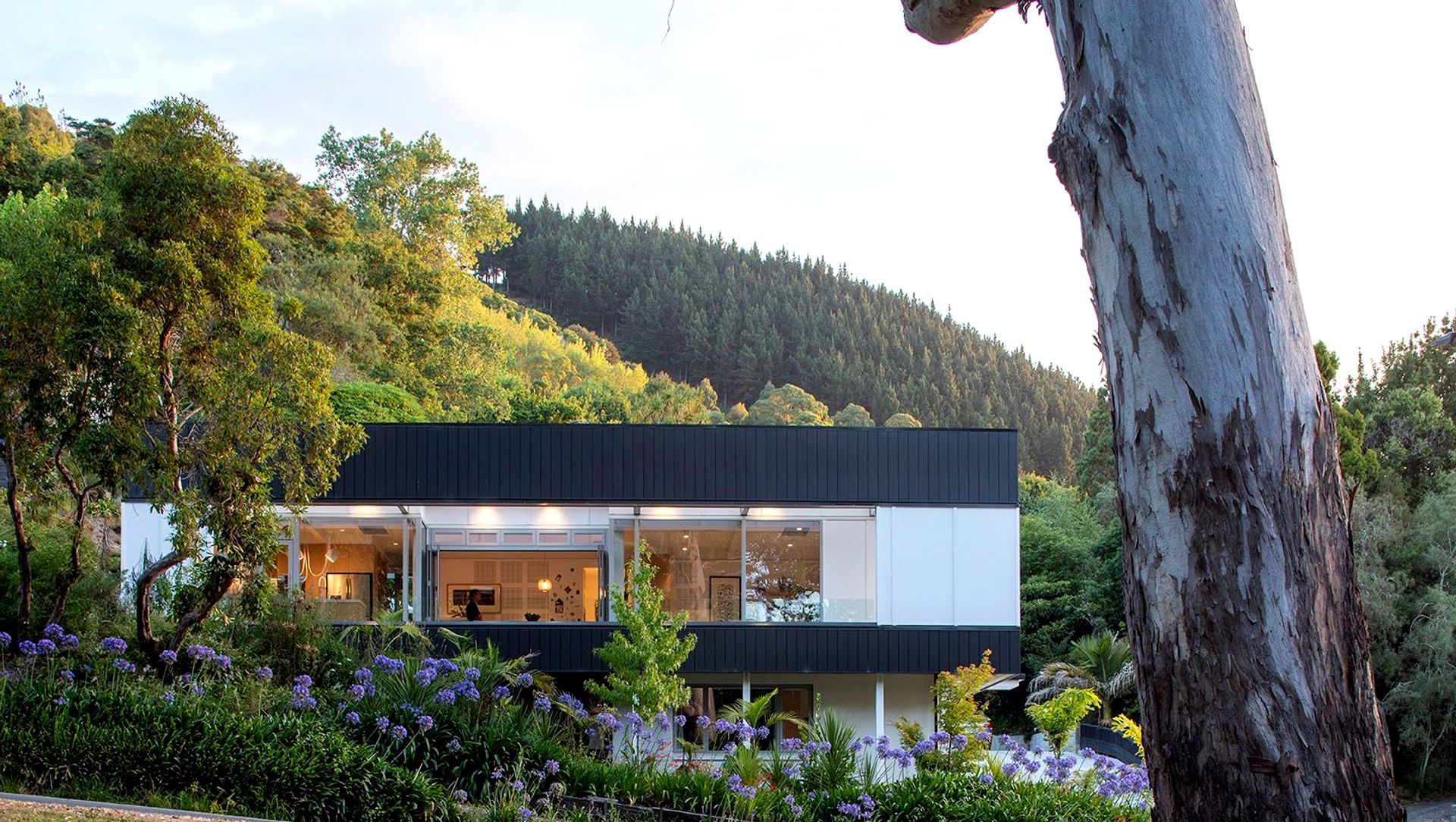 Van Diemen Street New Build banner