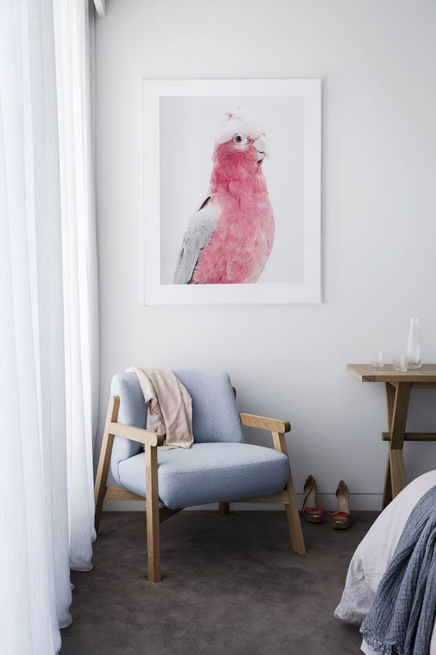 A softly lit bedroom corner with a pale blue upholstered timber armchair, a blush throw, grey carpet, sheer white curtains, and a small timber side table. A framed pink bird artwork hangs on the light grey wall, while part of a bed with blue-grey bedding is visible in the foreground.
