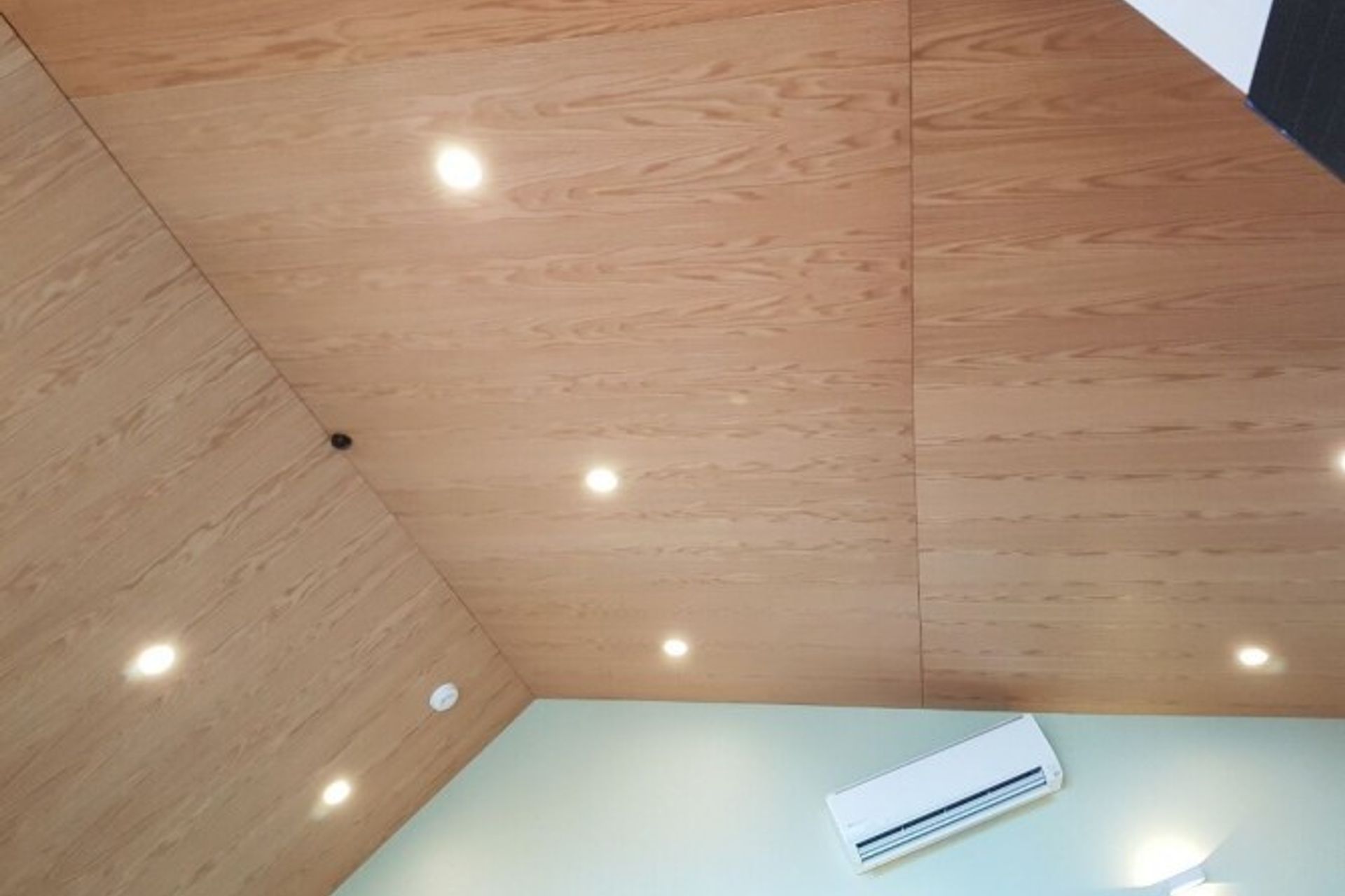 Vet Clinic, Christchurch