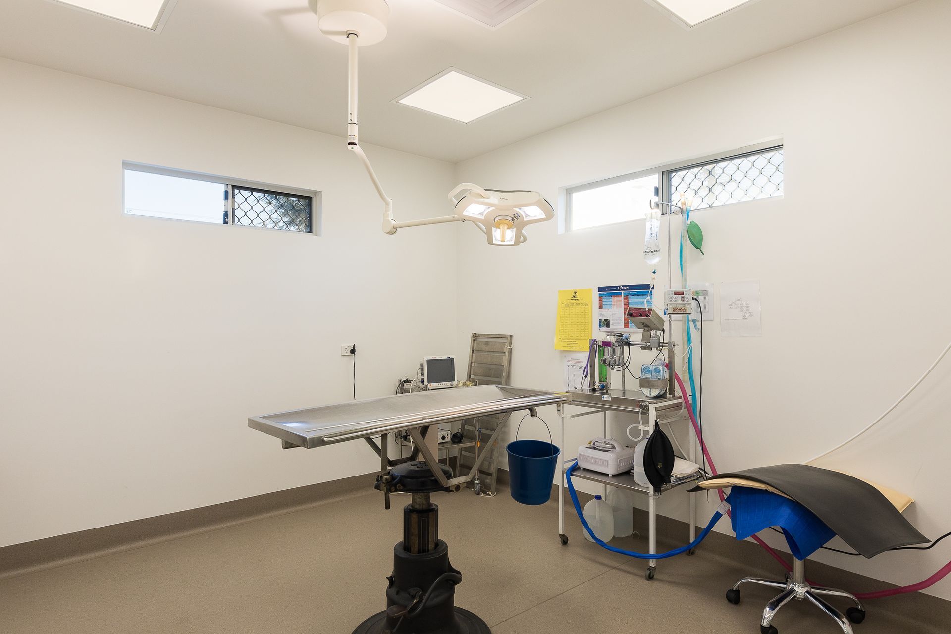 Kippa-ring Veterinary Clinic