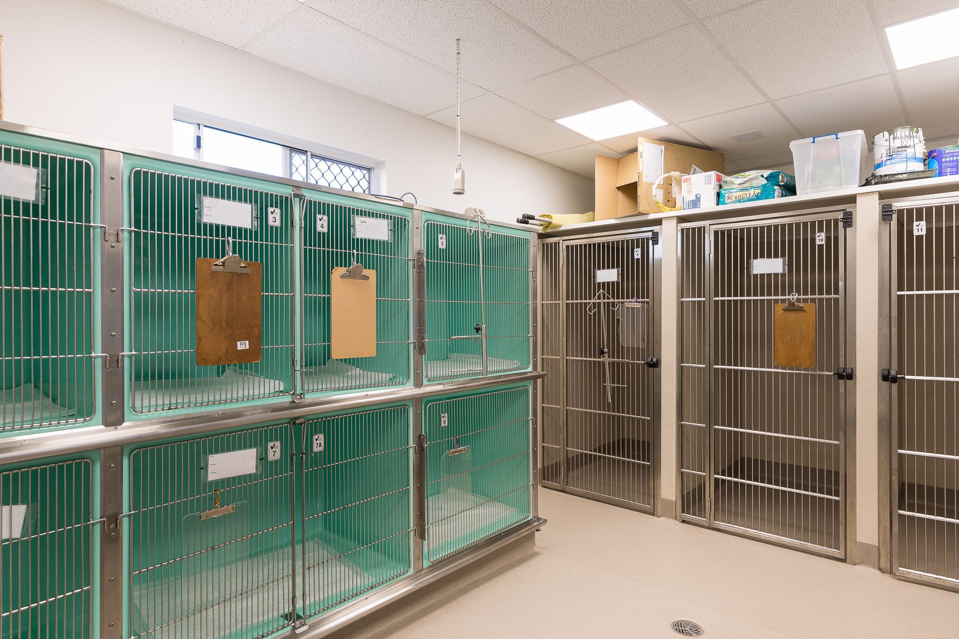 Kippa-ring Veterinary Clinic