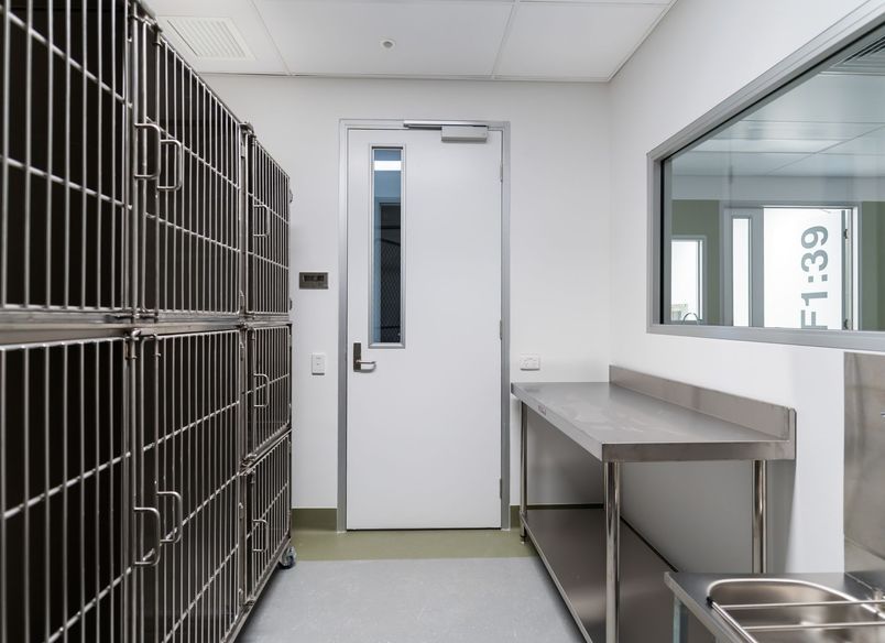 Veterinary Training Spaces Meadowbrook