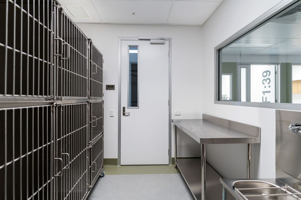 Veterinary Training Spaces Meadowbrook