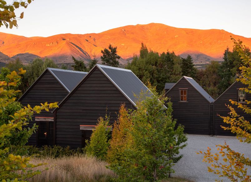 Bendemeer Black Beauty