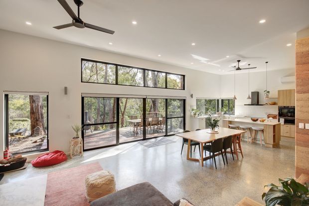 Bright open-plan living, dining and kitchen space with polished concrete flooring, expansive black-framed glazing, high ceilings, ceiling fans, timber cabinetry, and a dining table overlooking a leafy setting. The room has a relaxed contemporary character with strong indoor-outdoor connection.
