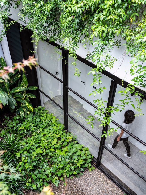 A high-angle view into a lush planted courtyard beside a modern building. Black-framed full-height glazed doors and partitions open onto a light grey interior with timber-look flooring, while dense green foliage surrounds the entrance and partly obscures the facade. A person is visible walking inside.