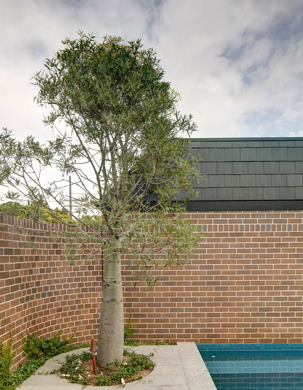 Gesticulating Wildly