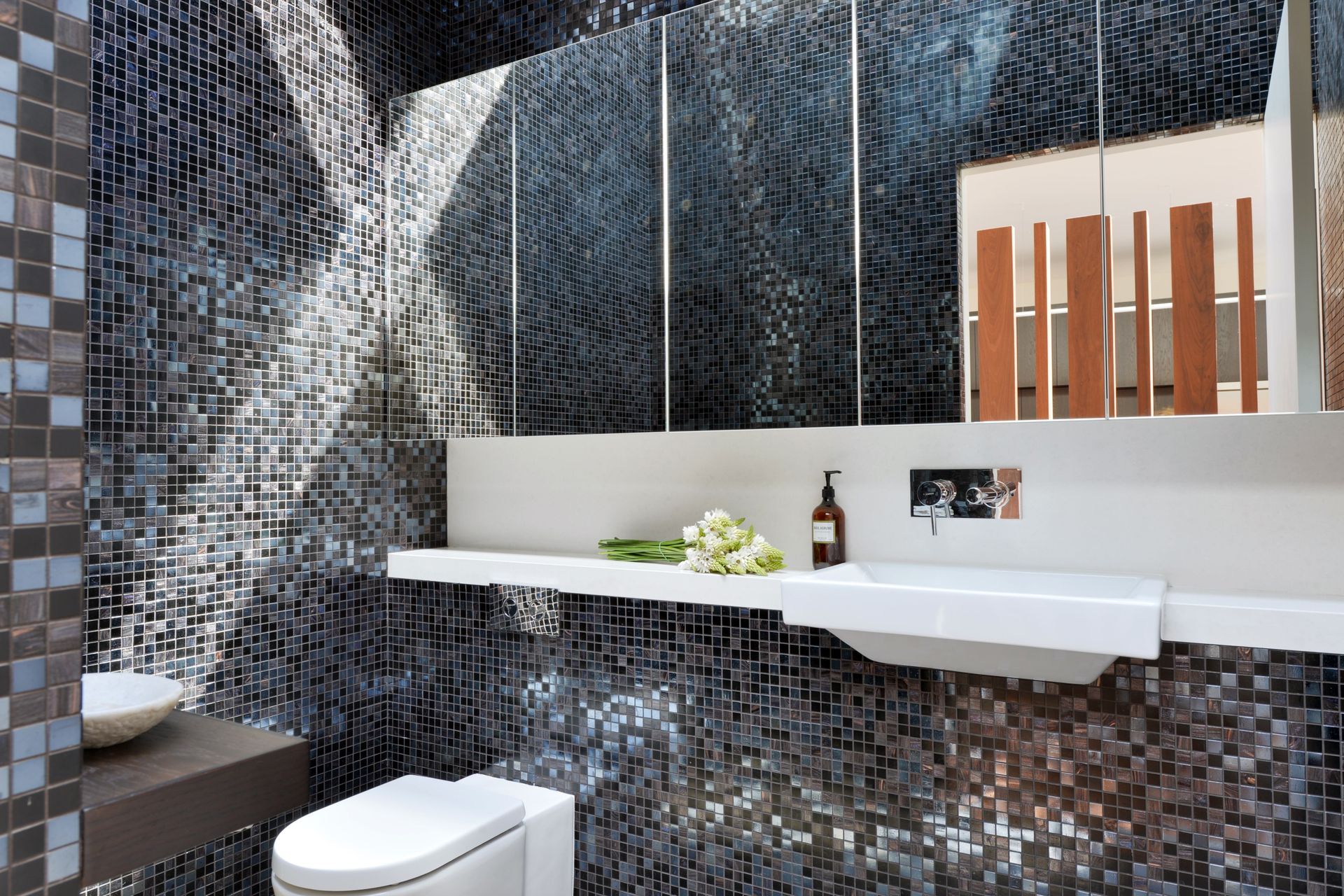 Wonderland Ave, Tamarama