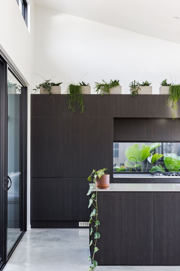 A bright, high-ceilinged contemporary kitchen with dark timber-look full-height cabinetry and a matching island. A pale stone or light solid-surface benchtop contrasts with the cabinetry, while extensive black-framed glazing opens to a lush planted exterior. Multiple trailing and potted plants sit above the cabinetry and on the island, adding an organic element to the minimalist space. The polished grey concrete floor and white walls create a clean, airy interior.