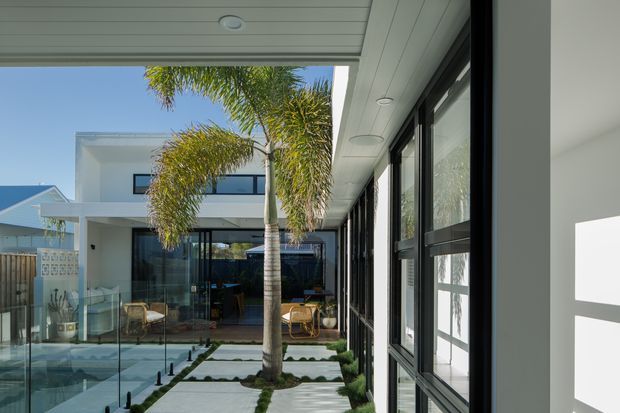 A bright modern covered outdoor walkway or courtyard at a contemporary residence, viewed from beside full-height black-framed glazing. The space features a white soffit with recessed downlights, glass balustrades, pale concrete or stone paving divided by narrow planted strips, sculptural palms, and a glazed outdoor seating area beyond. Clean rectilinear lines and strong indoor–outdoor connection define the scene.