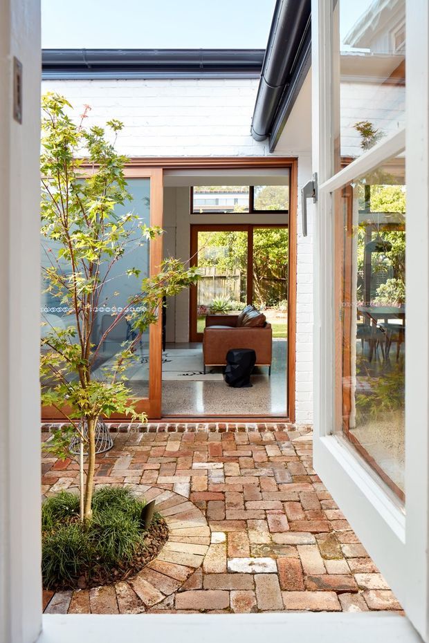 A bright view through an open white-framed doorway into a small brick-paved courtyard. The courtyard features a planted Japanese maple, low grasses, and a patterned reclaimed-brick surface. Beyond it, glazed timber-framed doors and windows reveal a contemporary living area with a brown sofa and dark side table. White-painted brick walls, dark gutters, and timber framing create a layered indoor-outdoor connection.