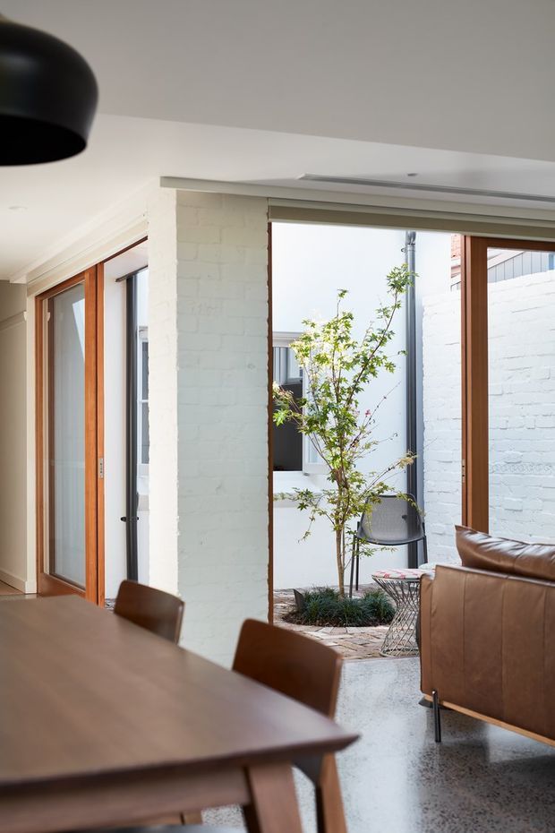 A bright contemporary interior focused on a dining and living area opening onto a small internal courtyard. The room features a large timber dining table and chairs in the foreground, a brown leather sofa at right, white-painted brick walls, warm timber-framed glazing and doors, polished concrete flooring, and a black pendant light. The courtyard contains a small tree, paving, and a glimpse of neighbouring architectural volumes.