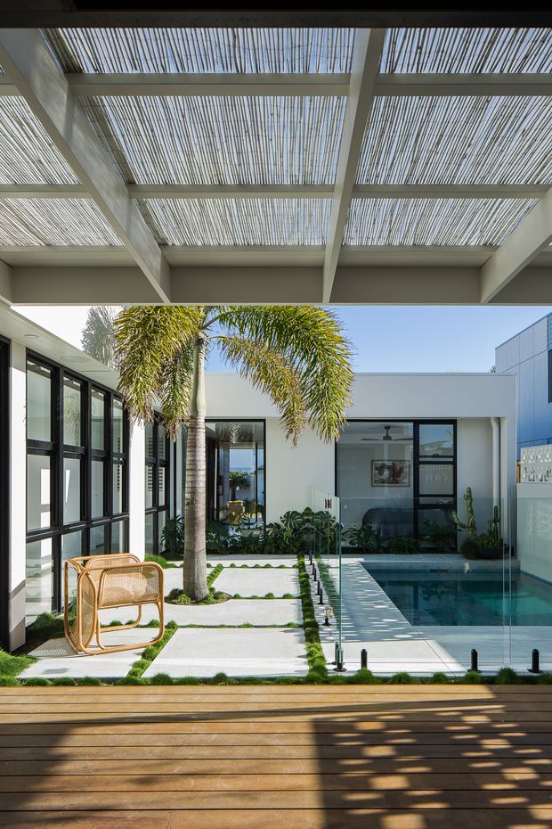 A bright contemporary courtyard viewed from a timber deck, featuring a rectangular swimming pool with glass balustrade, white rendered pavilion walls, black-framed floor-to-ceiling glazing, concrete stepping slabs with planted joints, tropical palms, and a large overhead pergola with closely spaced slatted screening. Strong sunlight creates striped shadows across the deck and pool terrace.