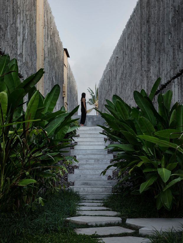 A landscaped exterior walkway with pale concrete steps leading between tall textured grey walls. Dense tropical foliage frames the path, with a person standing near the top and a glimpse of open sky beyond. The composition is dramatic and minimalist, emphasizing the strong linear corridor and contrast between raw walls and lush planting.
