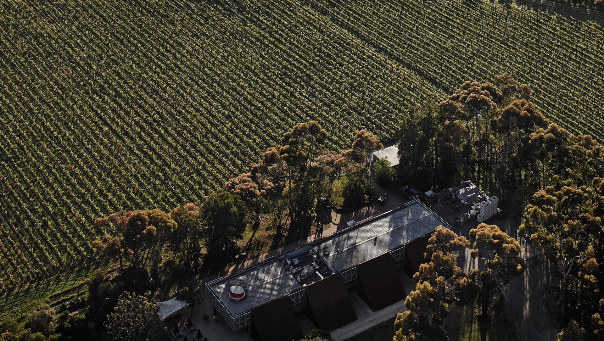 Shadowfax Winery banner