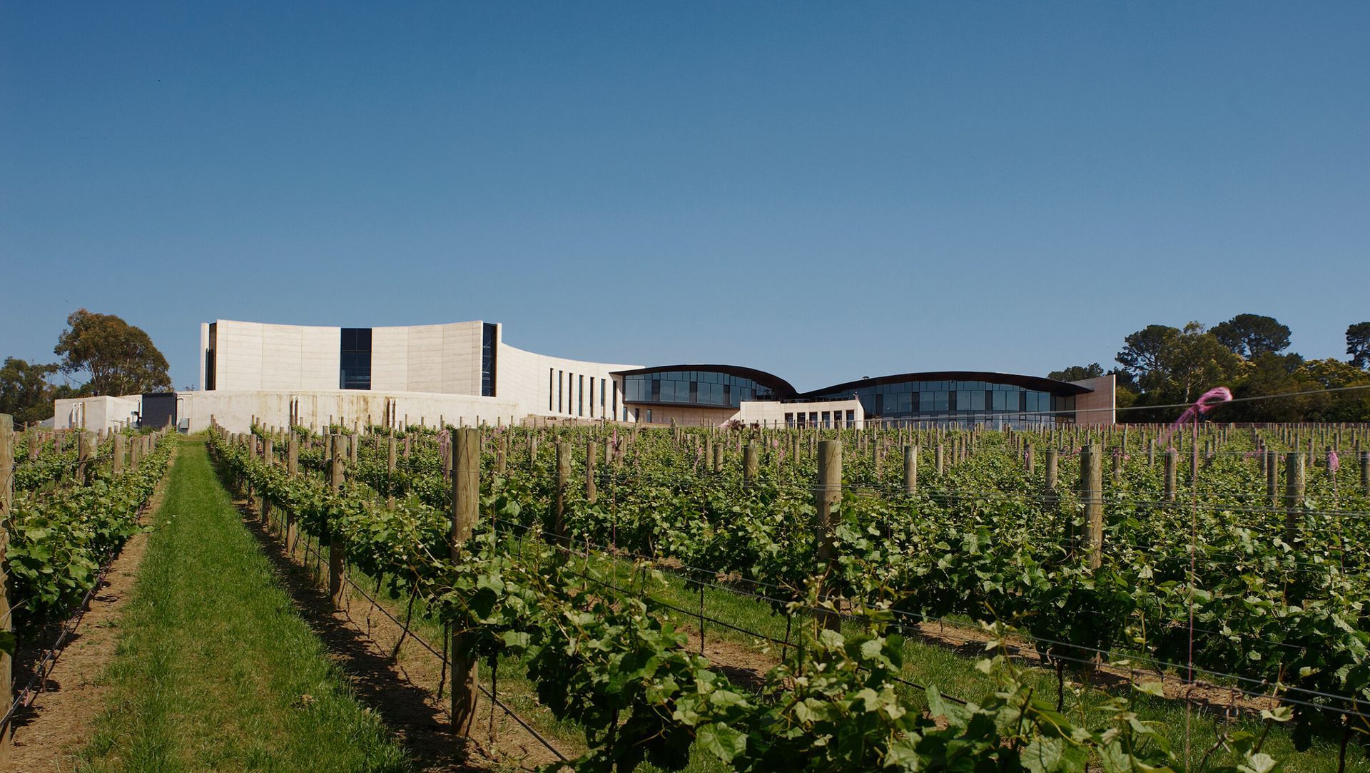 Port Phillip Estate Winery banner