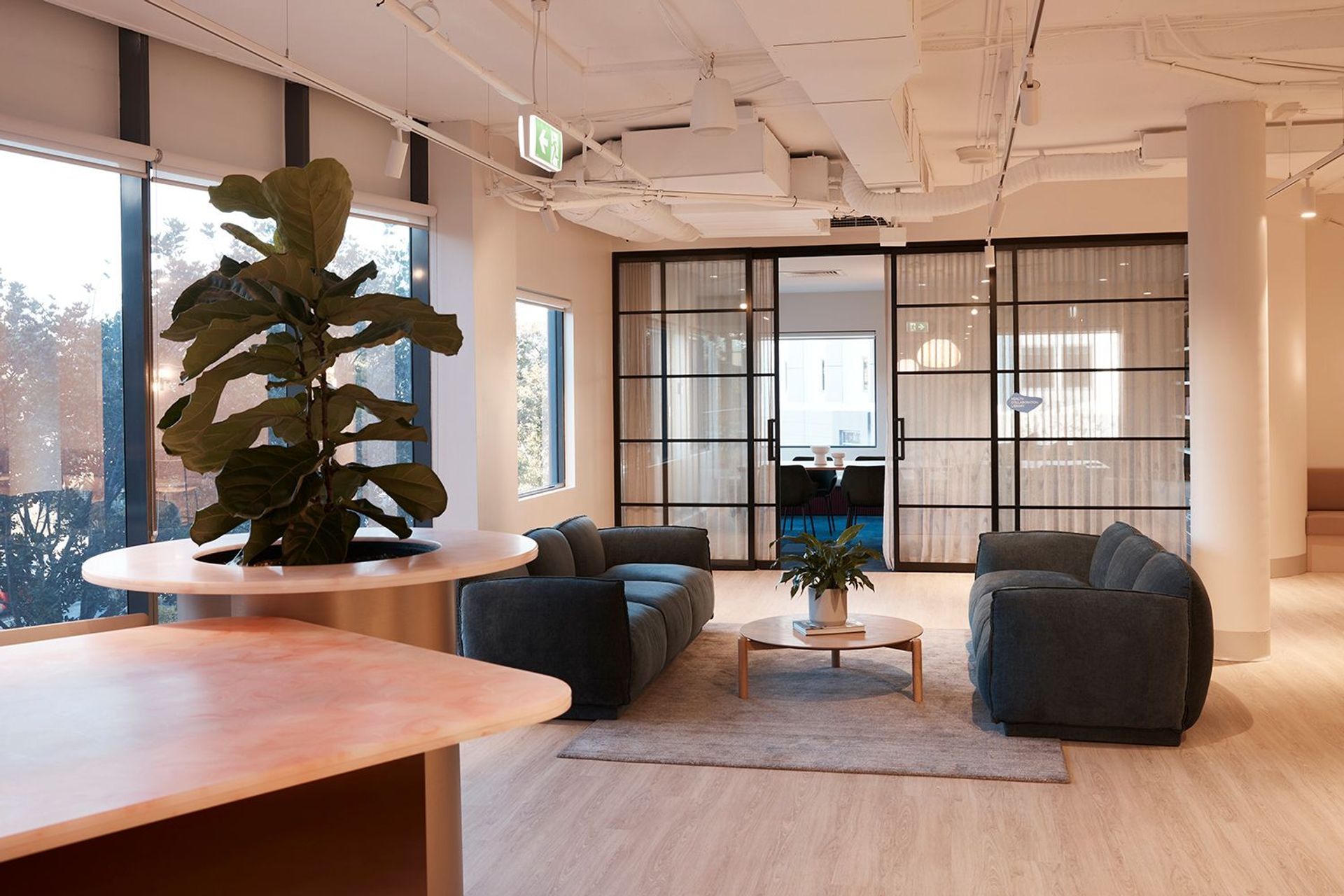 Brellah &amp; Movement HQ