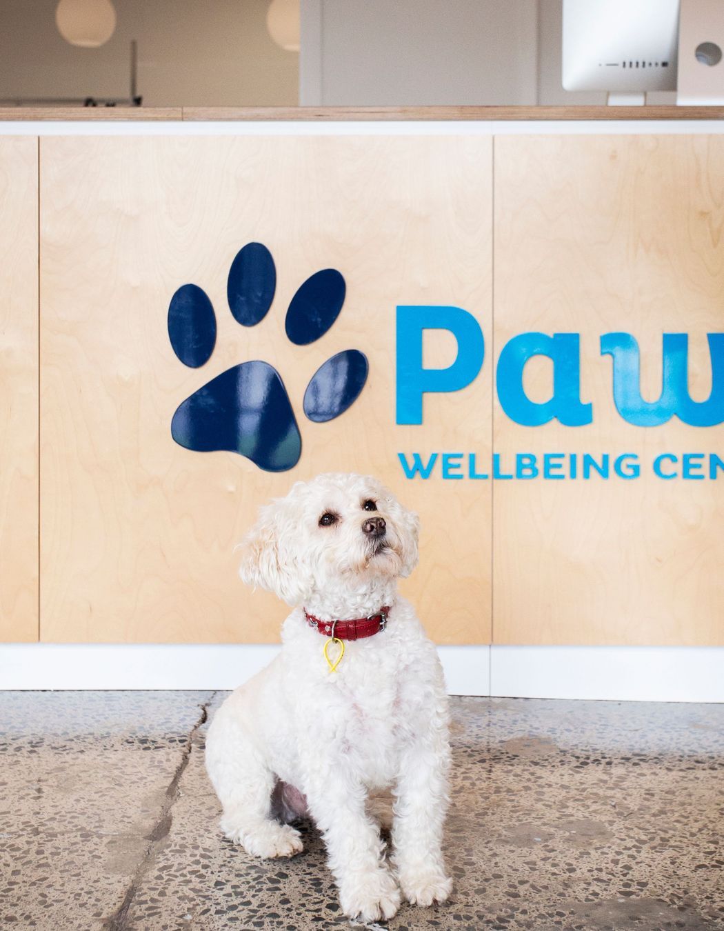 Paws Wellbeing Centre