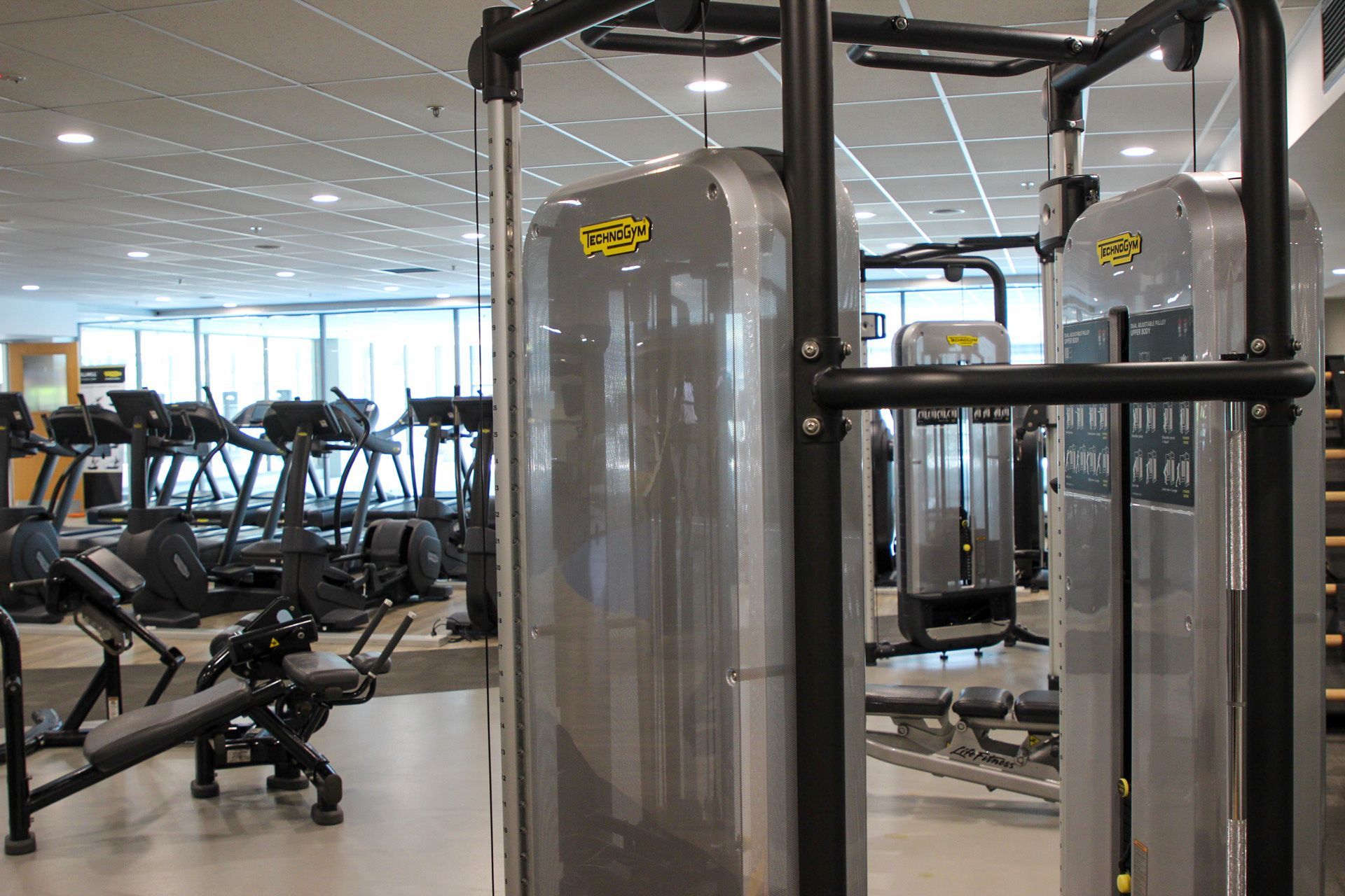 Next Gen Auckland Domain