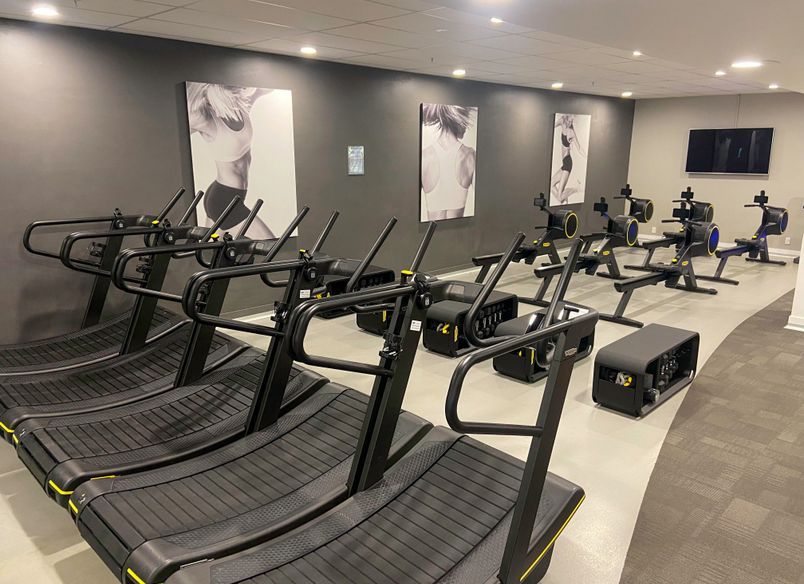 Next Gen Auckland Domain