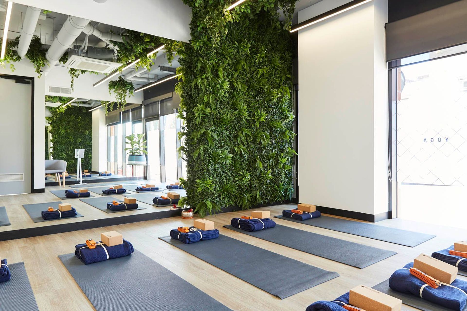 Upwell Health Collective