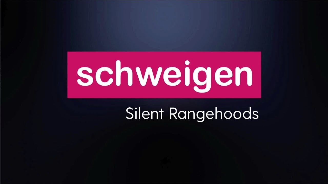 Schweigen 90cm Silent Undermount Rangehood - Stainless gallery detail image