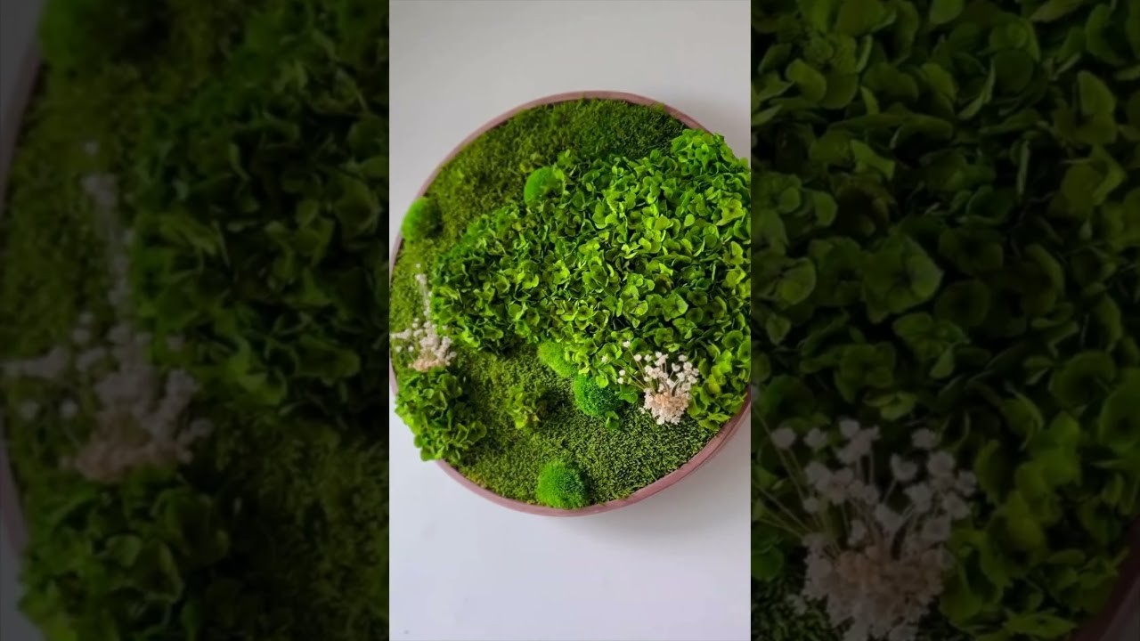 Round Moss Wall Art - Horten gallery detail image