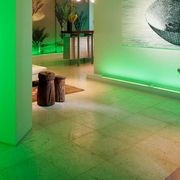 Fossil Stone Limestone gallery detail image