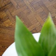 Timbers gallery detail image