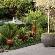 Firth Classic Collection Paving -  Piazza® gallery detail image