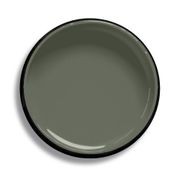 Resene Cabbage Pont gallery detail image