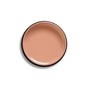 Resene Florentine Pink gallery detail image