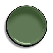 Resene Green House gallery detail image