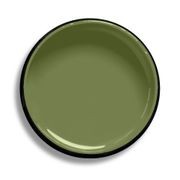 Resene Green Leaf gallery detail image