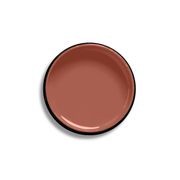 Resene Prairie Sand gallery detail image