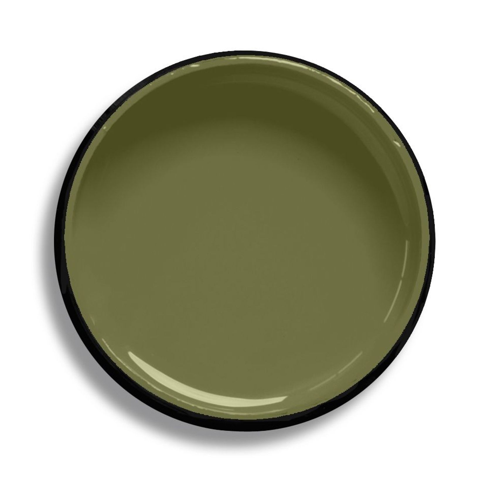 Resene Verdun Green gallery detail image