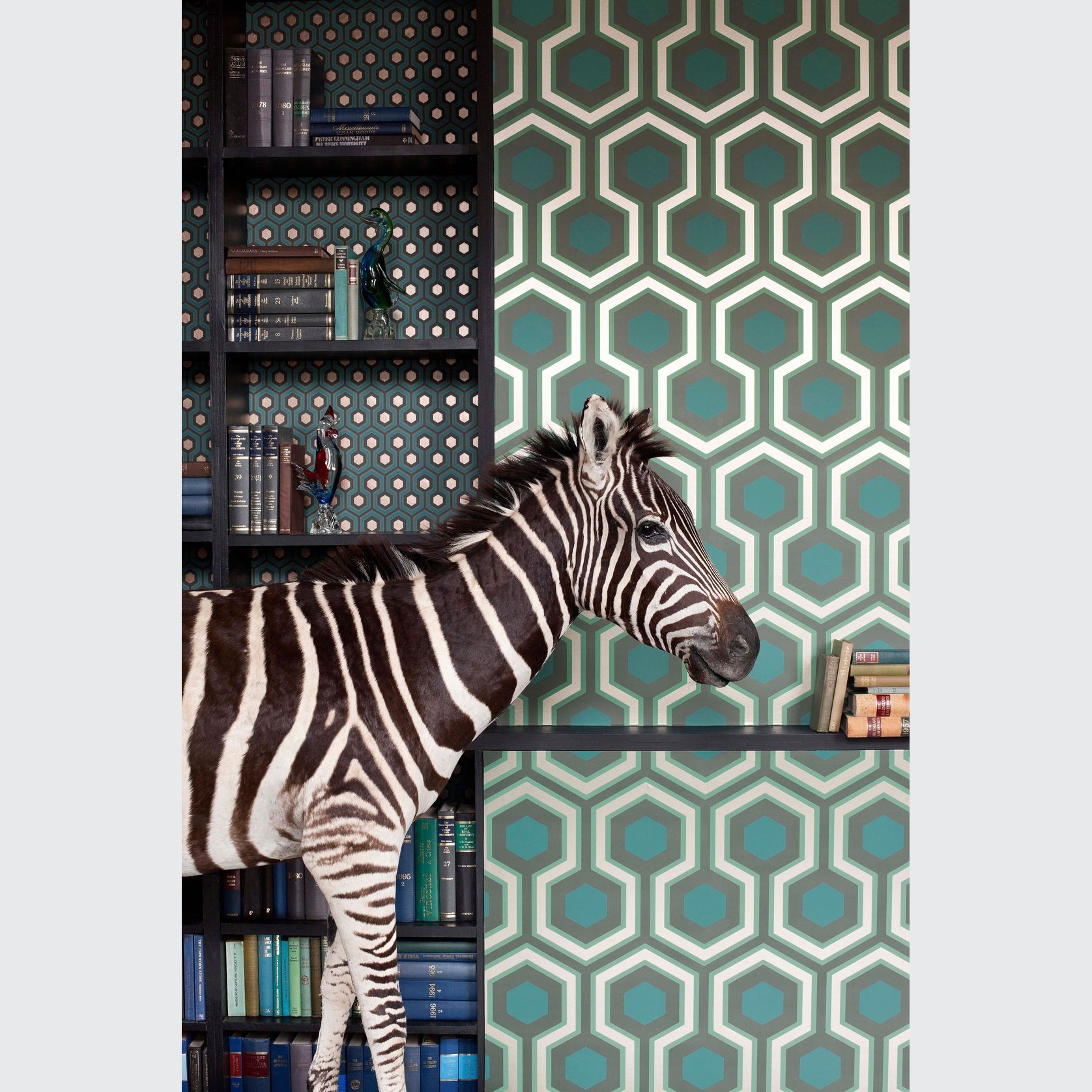 Contemporary Restyled Wallpaper Collection by Cole and Son gallery detail image