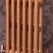 Paladin Cast Iron Radiators Custom Finish Choices gallery detail image