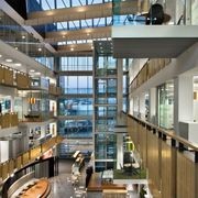 Hoop Pine Acoustic Plywood - Big River Panels gallery detail image