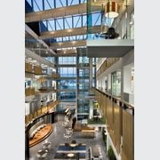 Hoop Pine Acoustic Plywood - Big River Panels gallery detail image